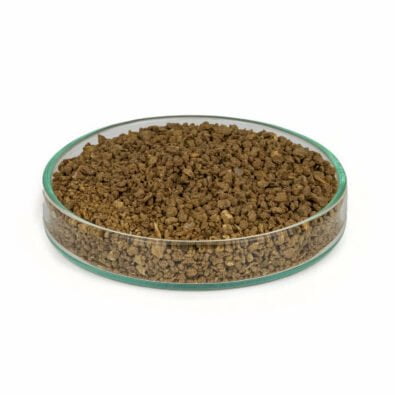 Belachan powder