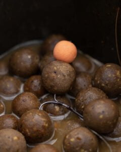 Kevin catch report - 6