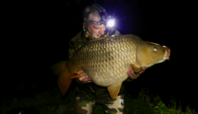 Donato carp fishing catch