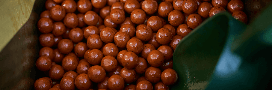 SLR boilies banner