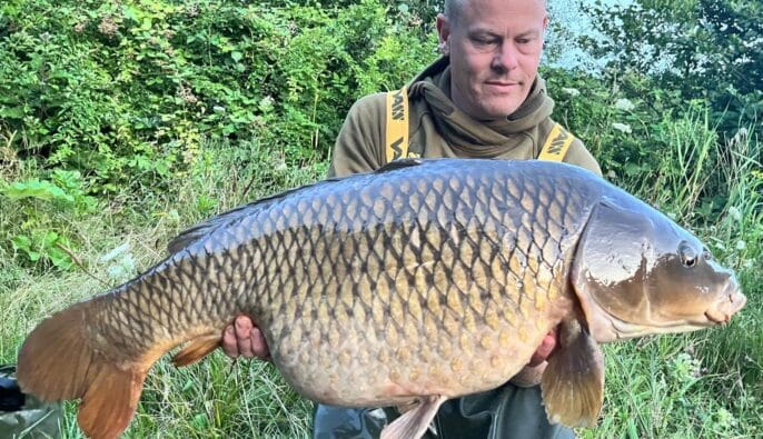 Raymond - Catch insect